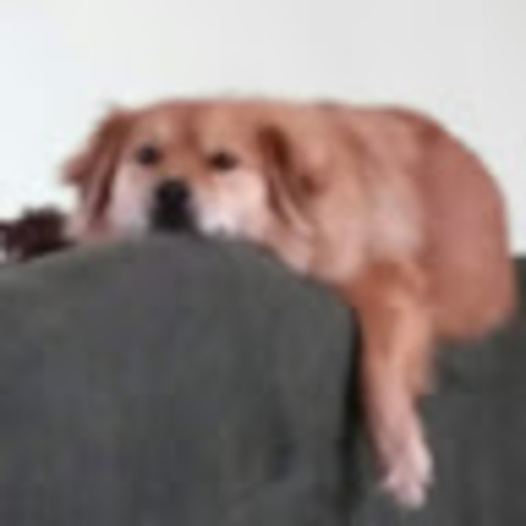 Meet your Posher, Billy - Picture 1 of 1